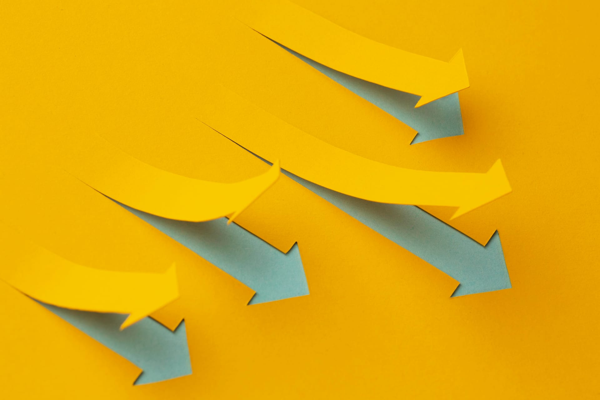 Les meilleures filières pour travailler dans le commerce et la gestion au Maroc